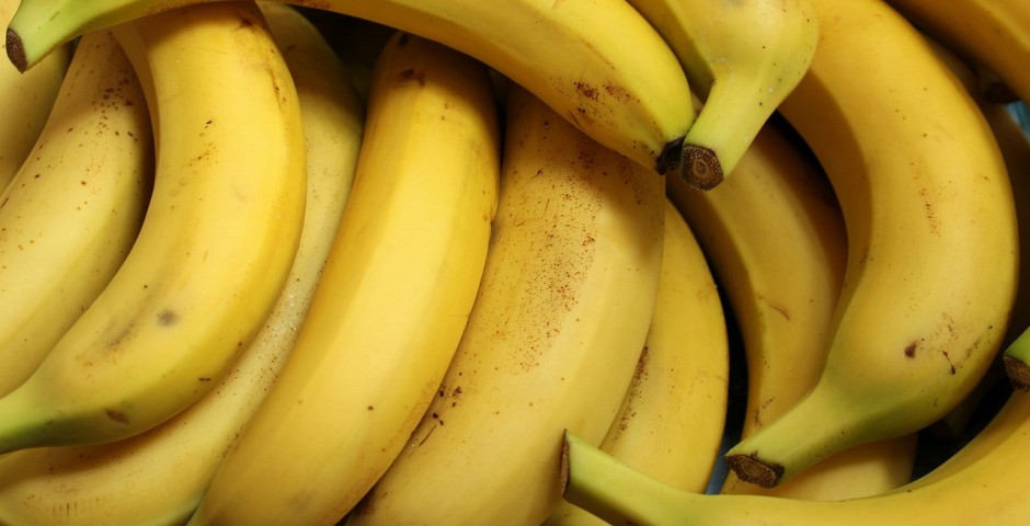 正しい食事バランスとカロリー配分